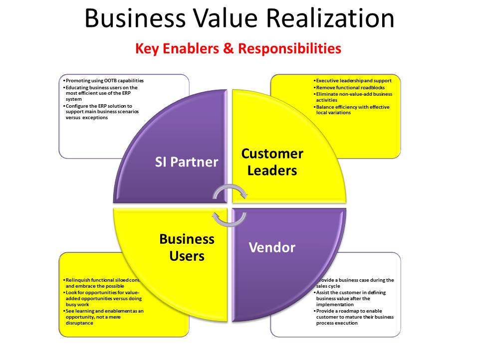 ERP Utilization Series: Business Value Realization